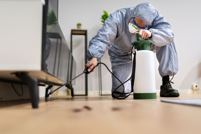 Roach Fumigation in Davis County, UT