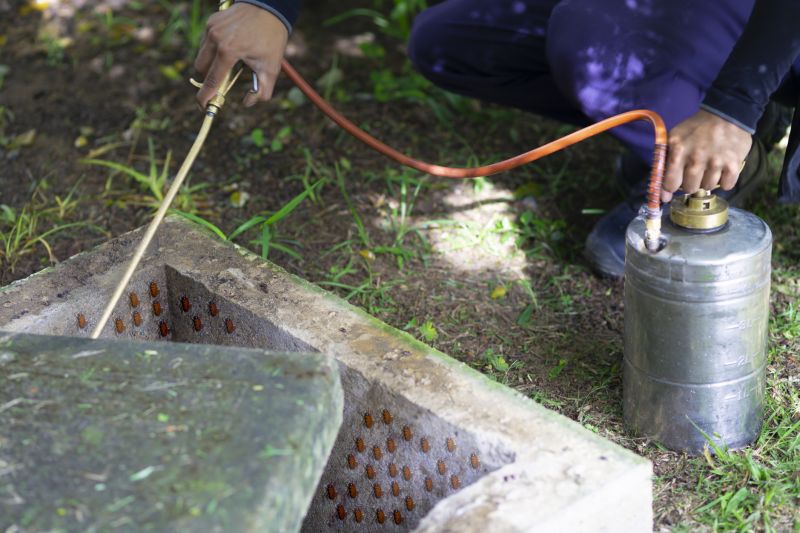 Spider Fumigation Service in Woodbridge, VA