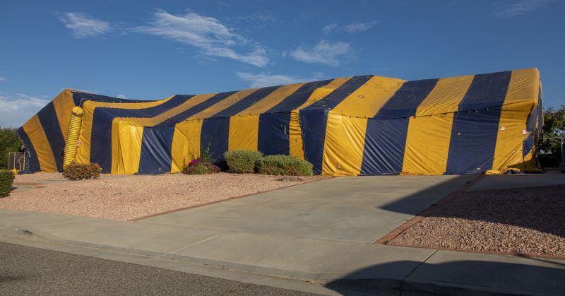 Termite Tenting in Davis County, UT