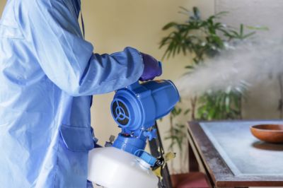 Pest Fumigation Service in Coeur D Alene, ID