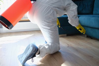 Roach Fumigation in Myrtle Beach, SC