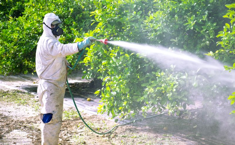 Roach Fumigation in Wilmington, DE